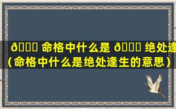 🍁 命格中什么是 🍀 绝处逢生（命格中什么是绝处逢生的意思）